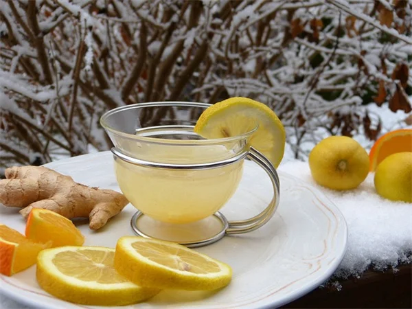 夏の旅行中も安心！植物を留守中に管理する5つの方法