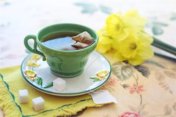 トレンドに逃げるな！庭を永遠に美しくする7つの定番植物