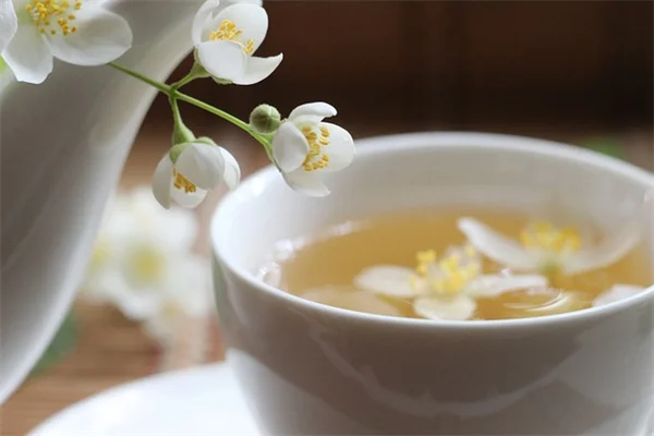 花の色が変わる理由とコツ：園芸初心者が知っておきたいポイント